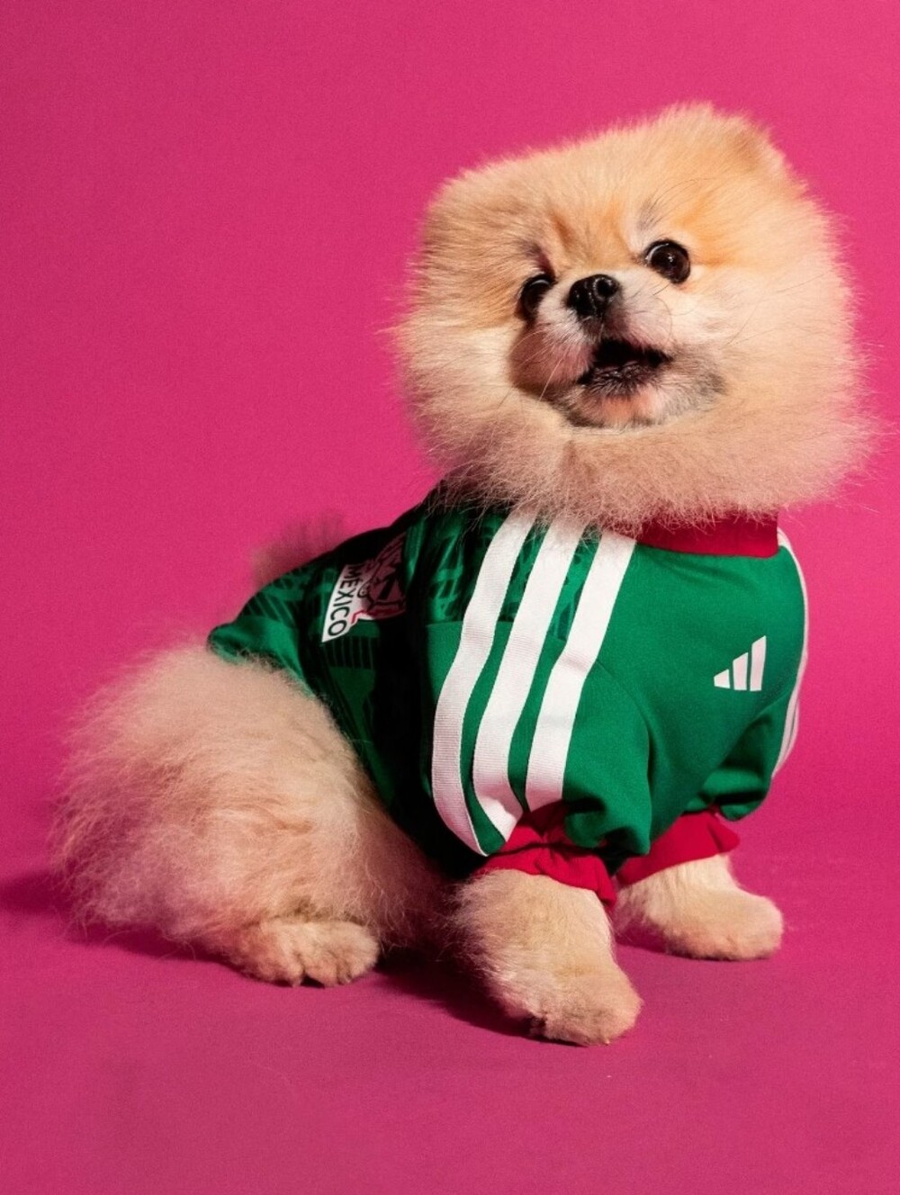 Adidas Pet Jersey 26 Mexico